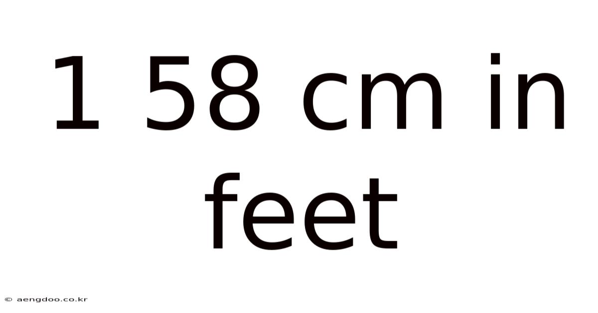 1 58 Cm In Feet