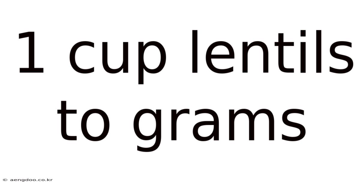 1 Cup Lentils To Grams