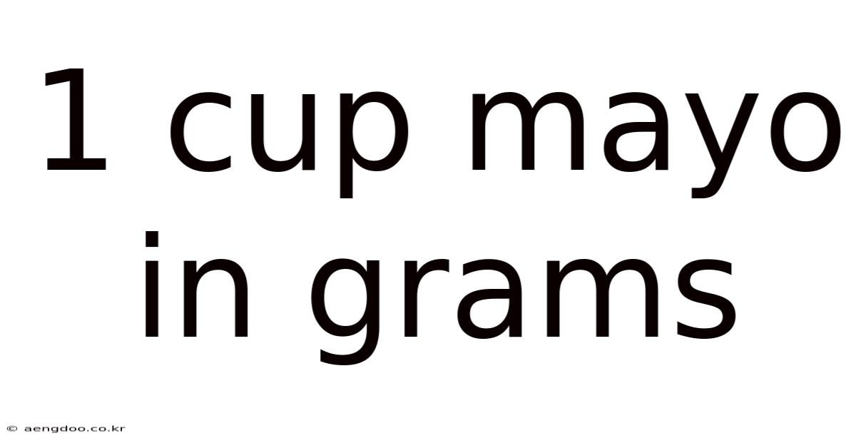 1 Cup Mayo In Grams