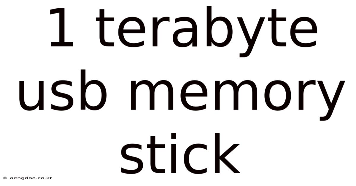 1 Terabyte Usb Memory Stick