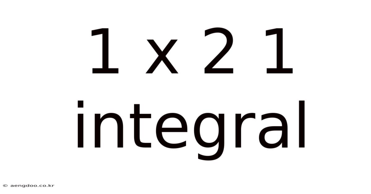 1 X 2 1 Integral