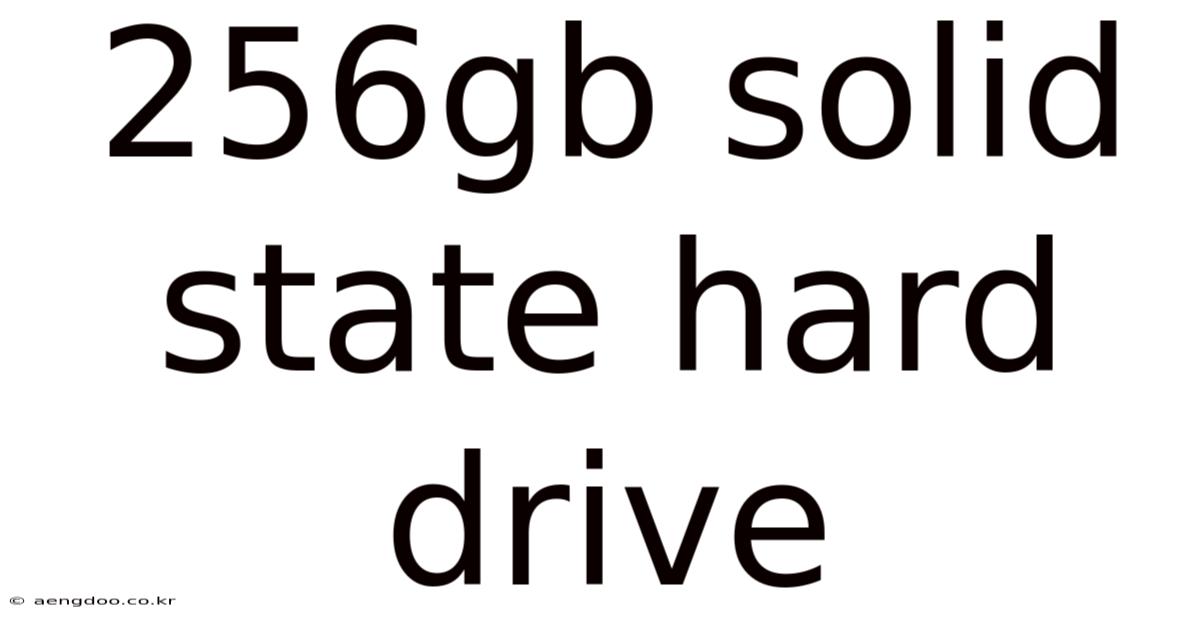 256gb Solid State Hard Drive