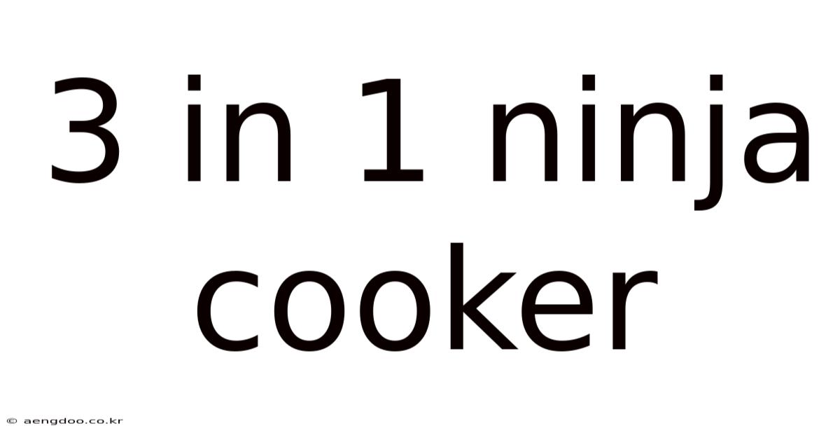 3 In 1 Ninja Cooker