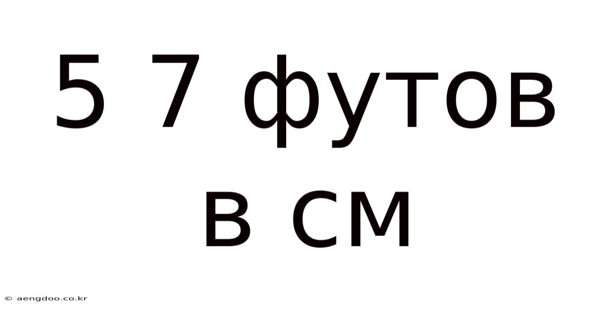 5 7 Футов В См