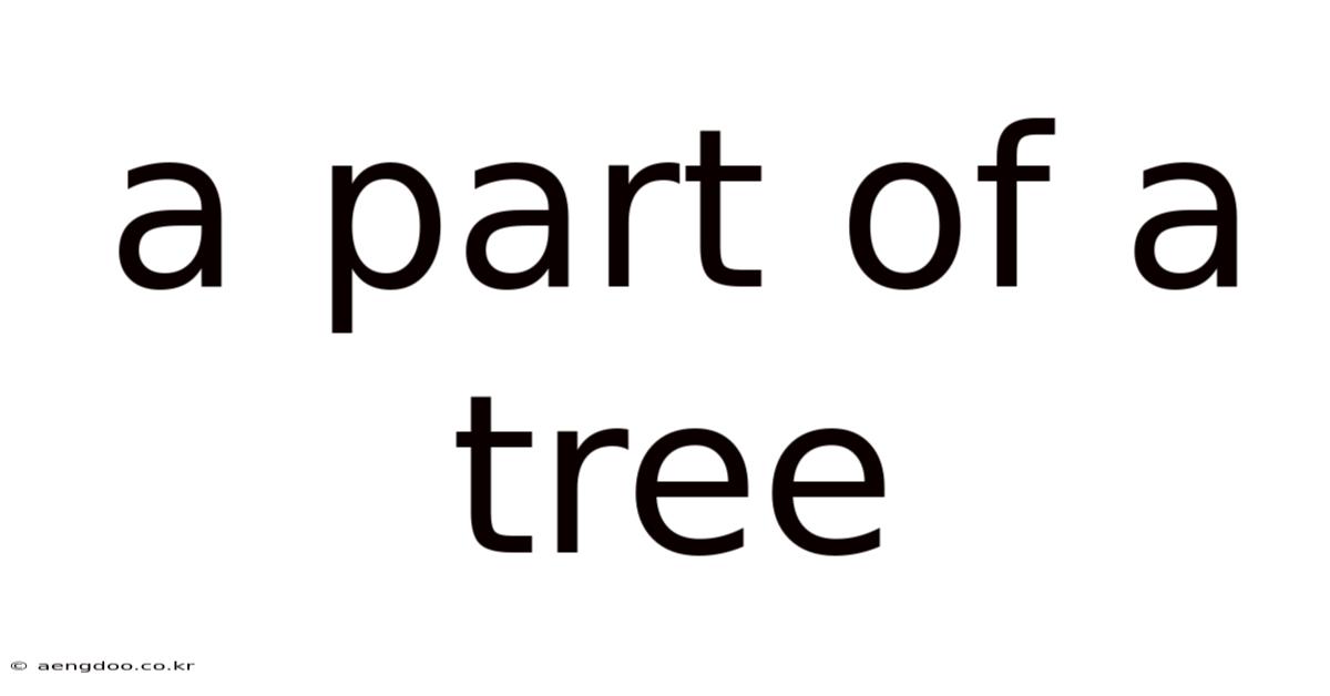 A Part Of A Tree