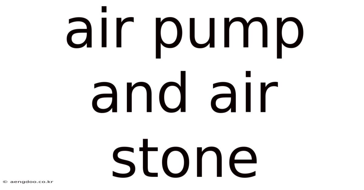 Air Pump And Air Stone