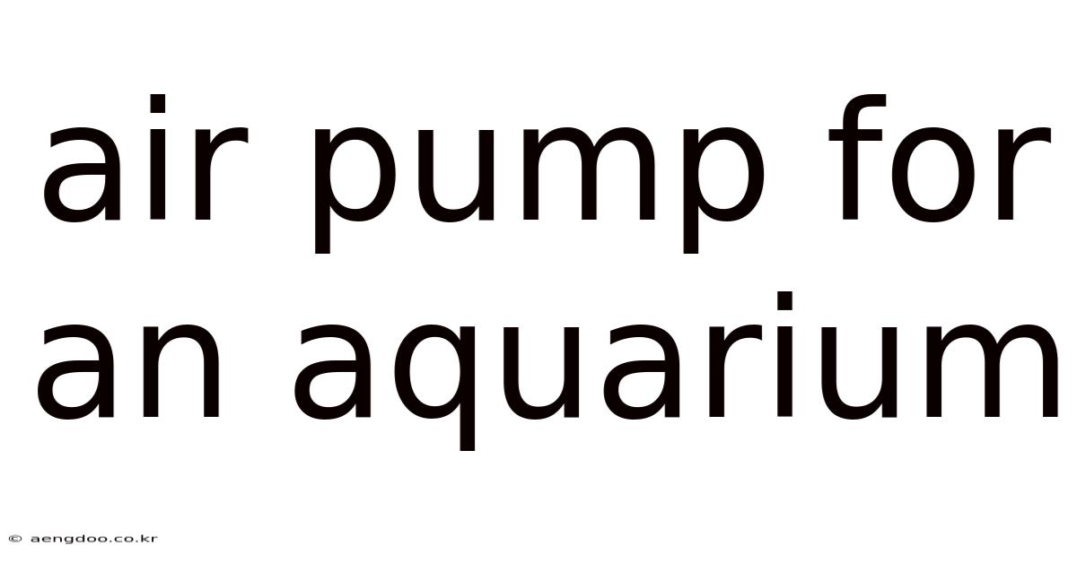 Air Pump For An Aquarium