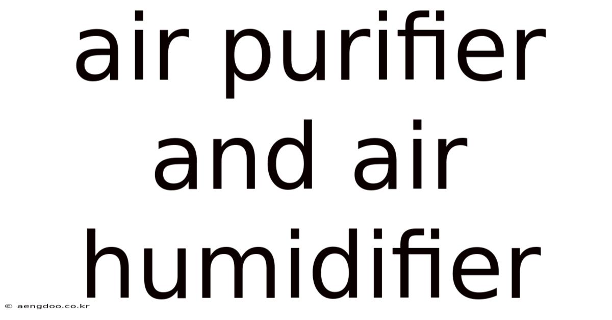 Air Purifier And Air Humidifier