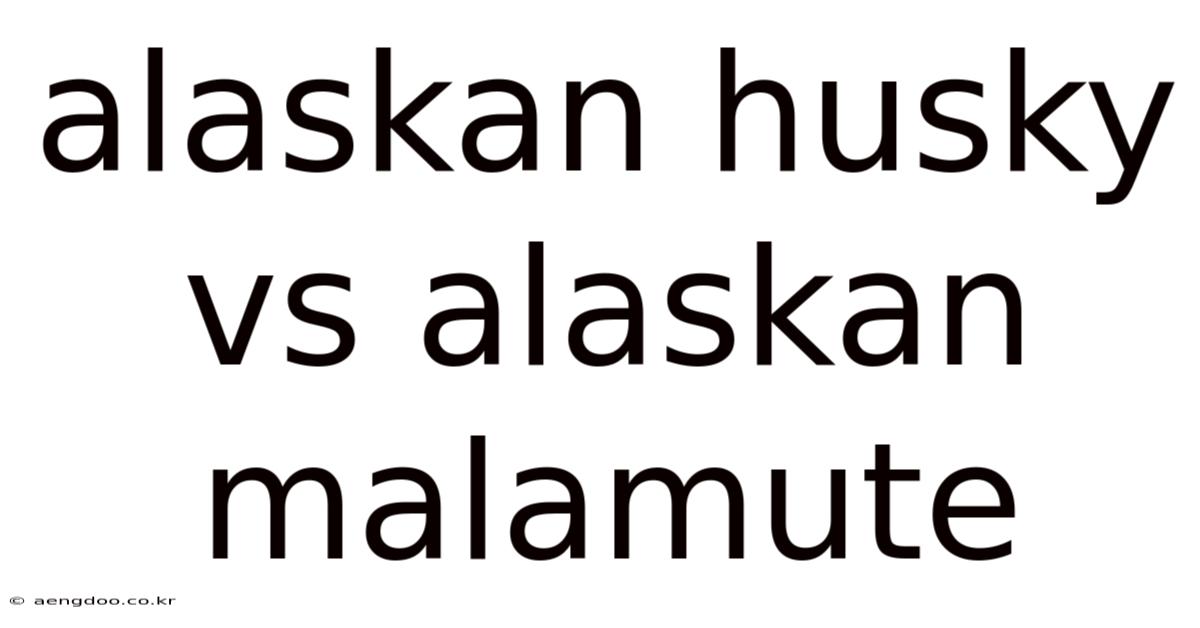 Alaskan Husky Vs Alaskan Malamute