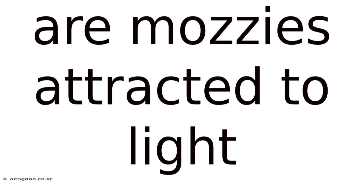 Are Mozzies Attracted To Light
