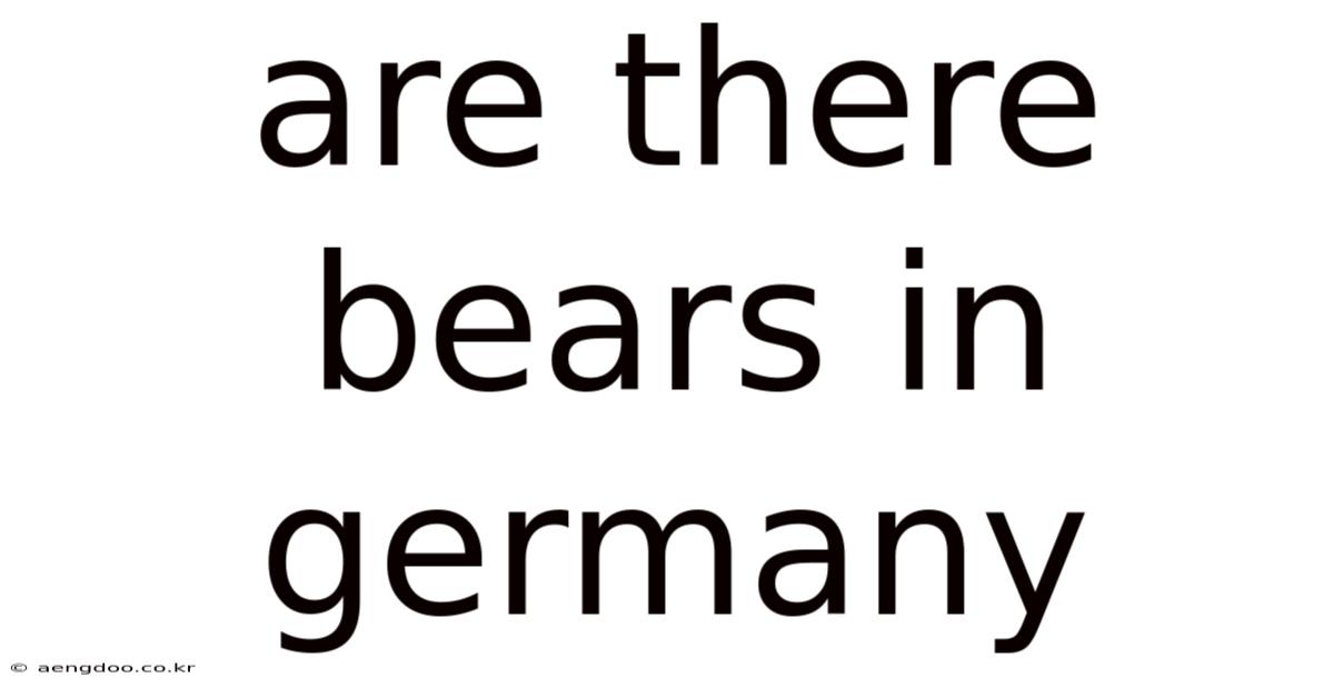 Are There Bears In Germany