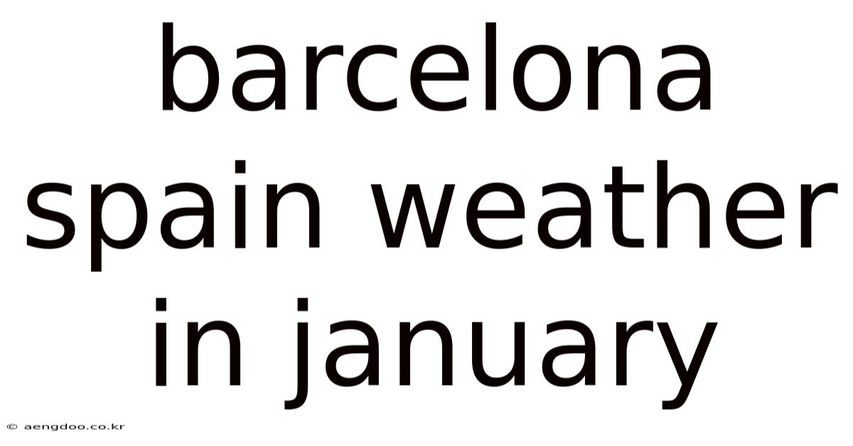 Barcelona Spain Weather In January
