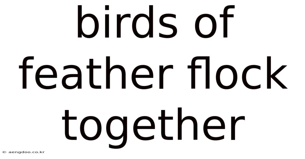 Birds Of Feather Flock Together