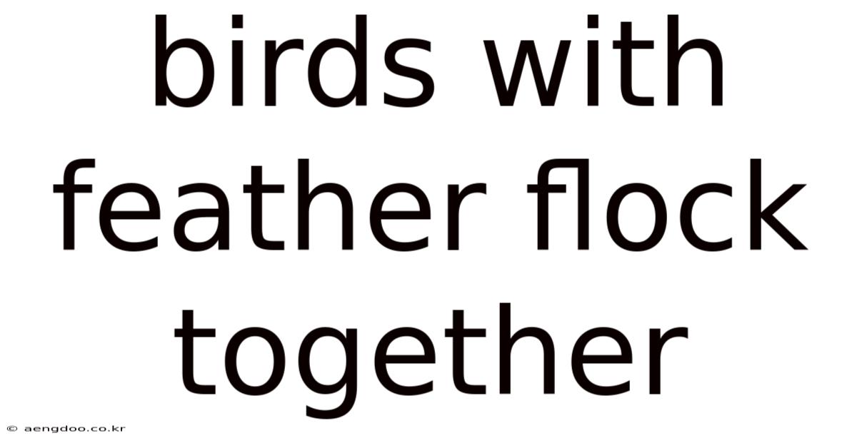 Birds With Feather Flock Together