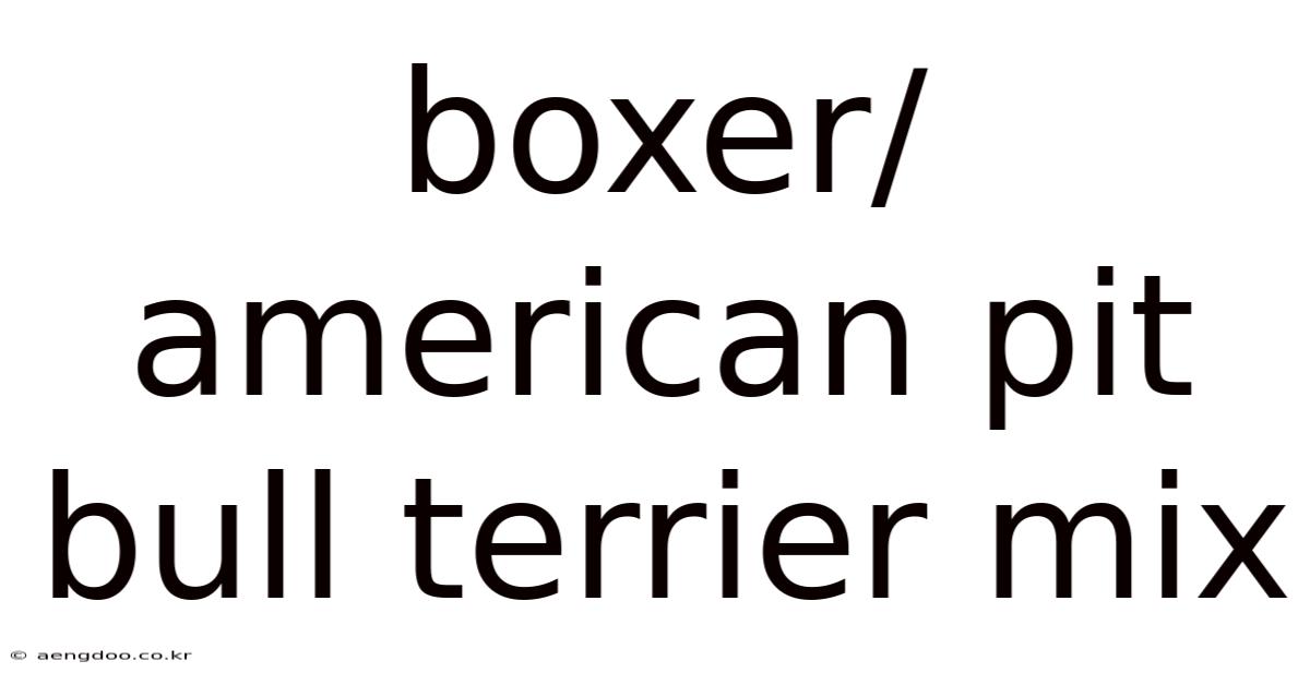 Boxer/american Pit Bull Terrier Mix
