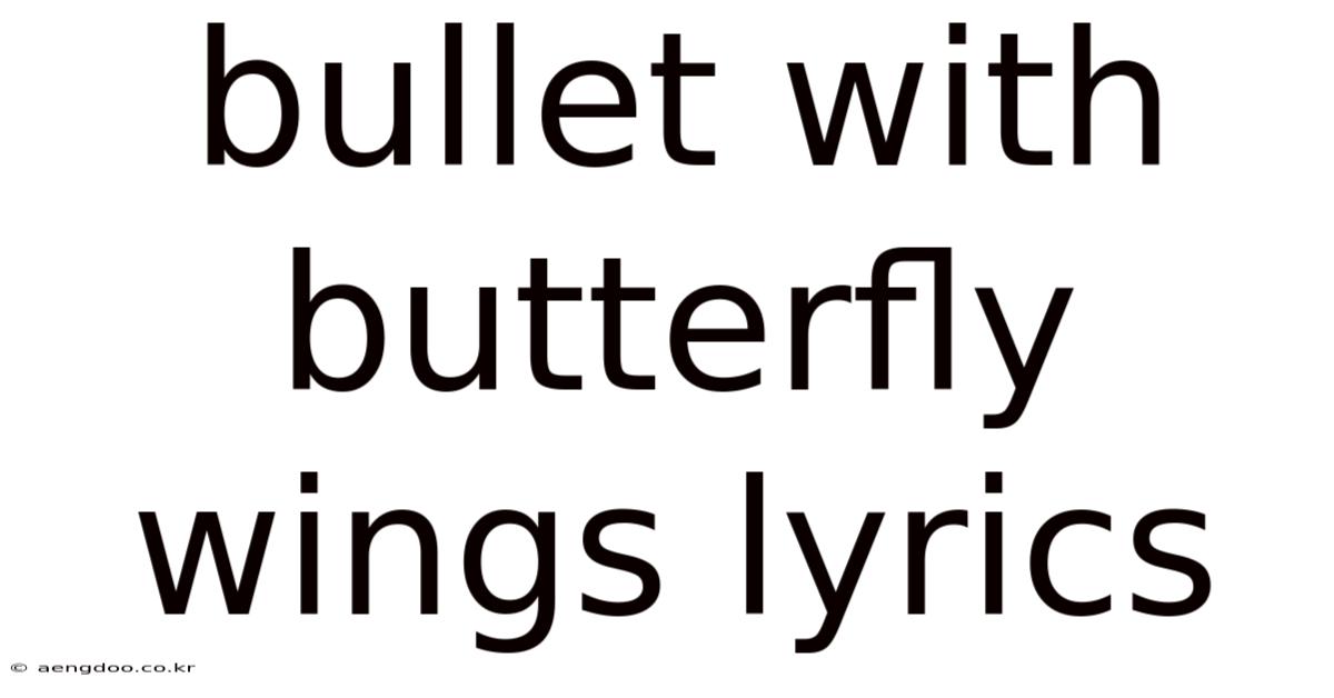 Bullet With Butterfly Wings Lyrics