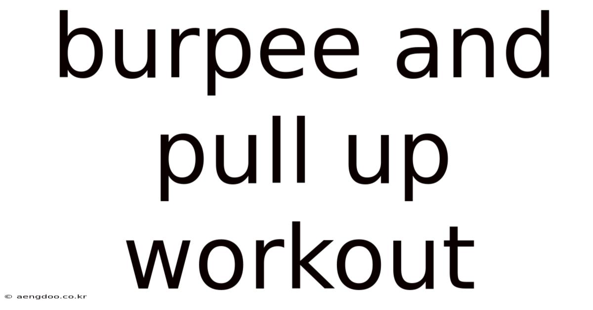 Burpee And Pull Up Workout
