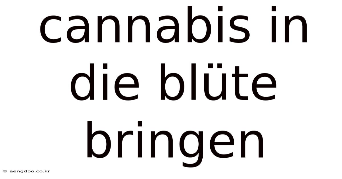 Cannabis In Die Blüte Bringen
