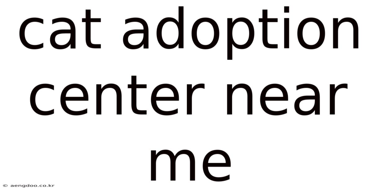 Cat Adoption Center Near Me