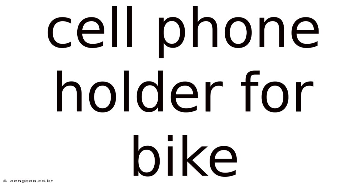 Cell Phone Holder For Bike