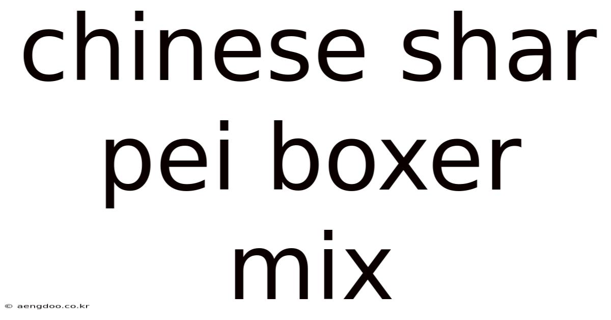 Chinese Shar Pei Boxer Mix