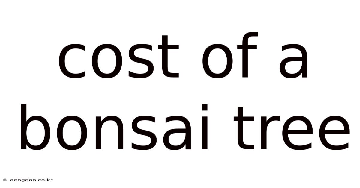 Cost Of A Bonsai Tree