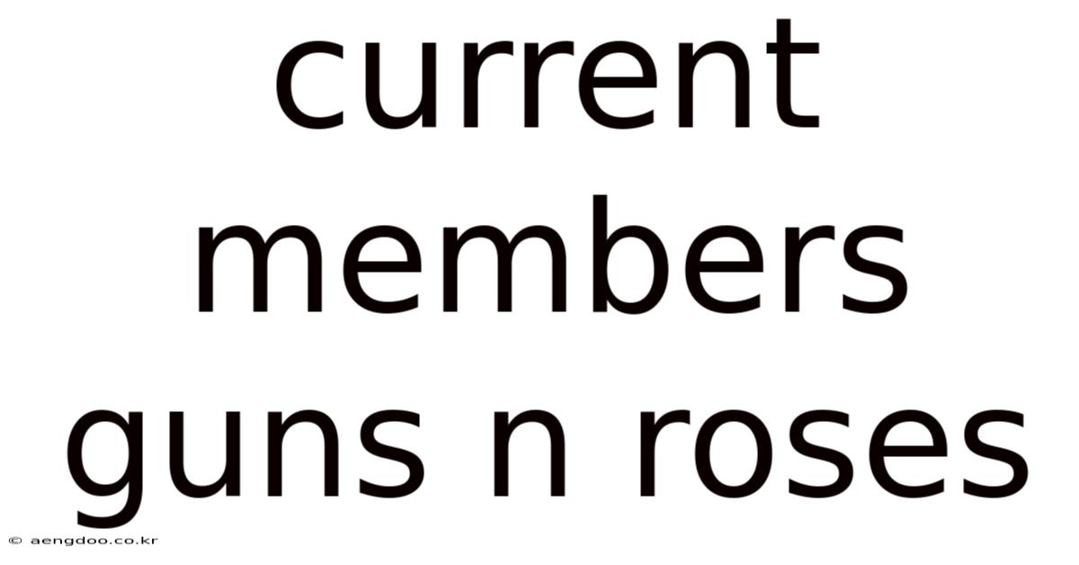 Current Members Guns N Roses