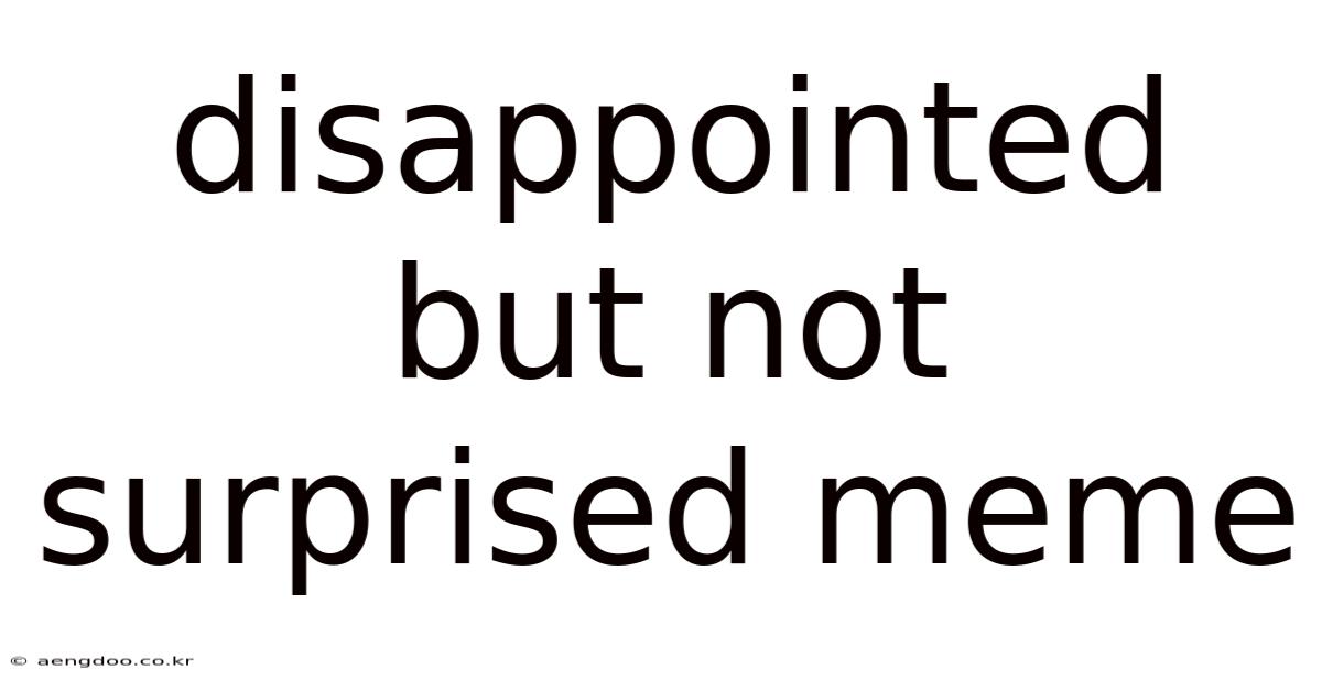 Disappointed But Not Surprised Meme