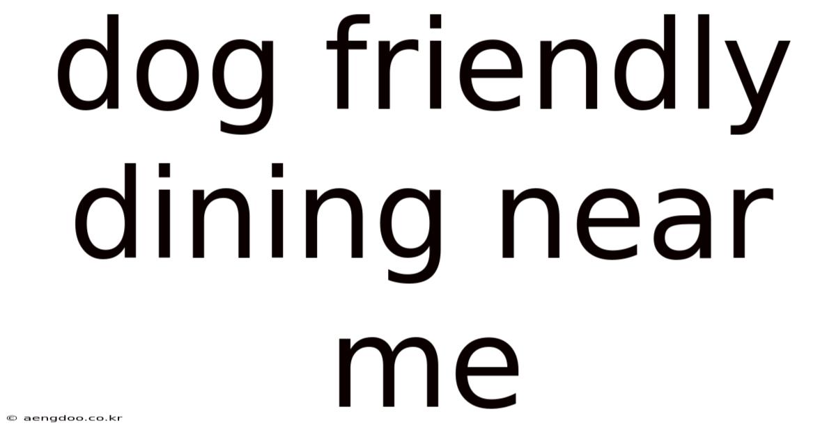 Dog Friendly Dining Near Me