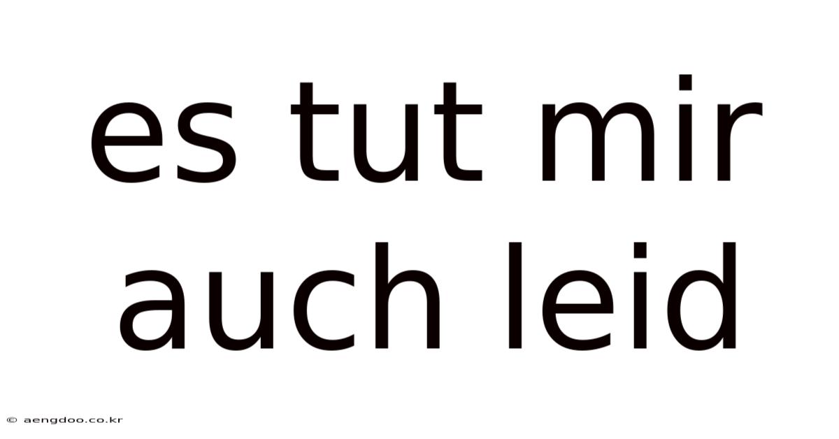 Es Tut Mir Auch Leid