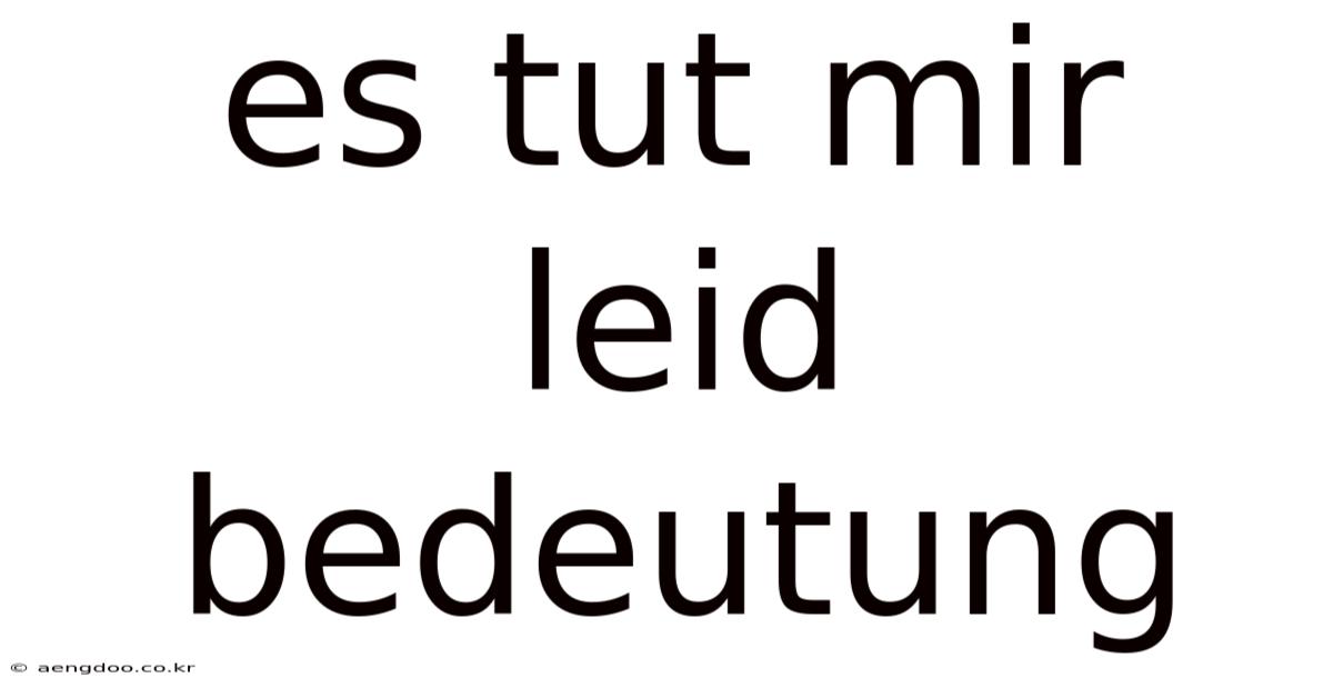 Es Tut Mir Leid Bedeutung