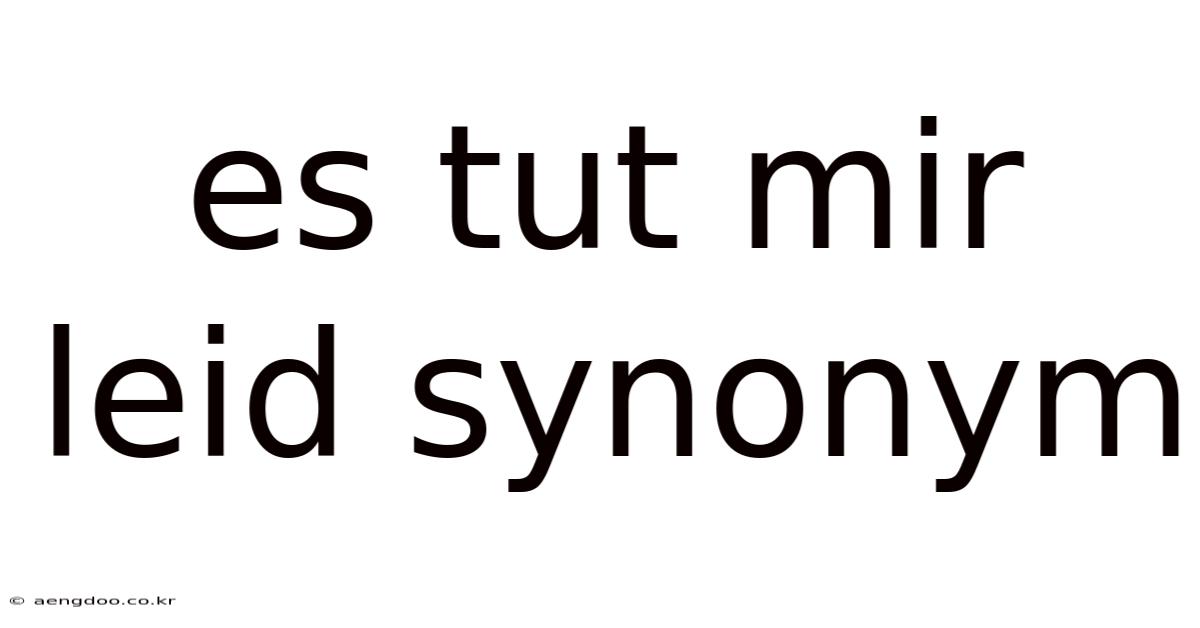 Es Tut Mir Leid Synonym