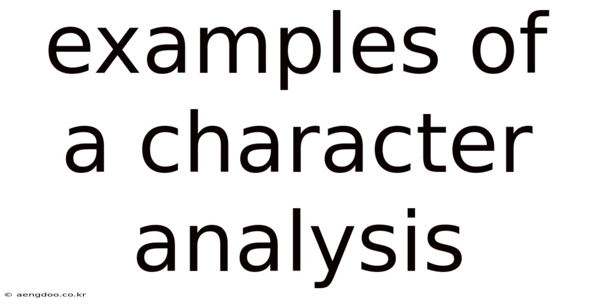 Examples Of A Character Analysis