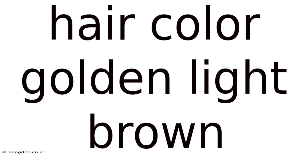 Hair Color Golden Light Brown