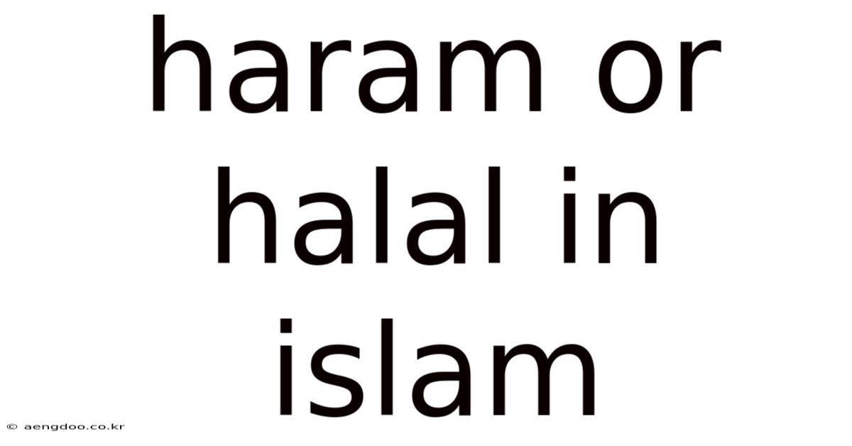 Haram Or Halal In Islam