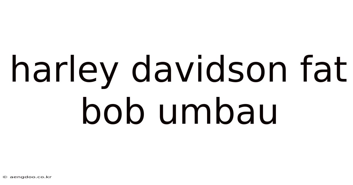 Harley Davidson Fat Bob Umbau