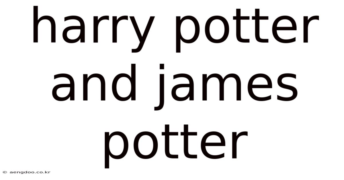 Harry Potter And James Potter