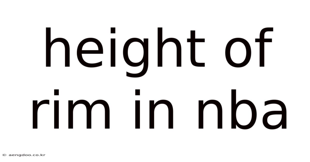 Height Of Rim In Nba