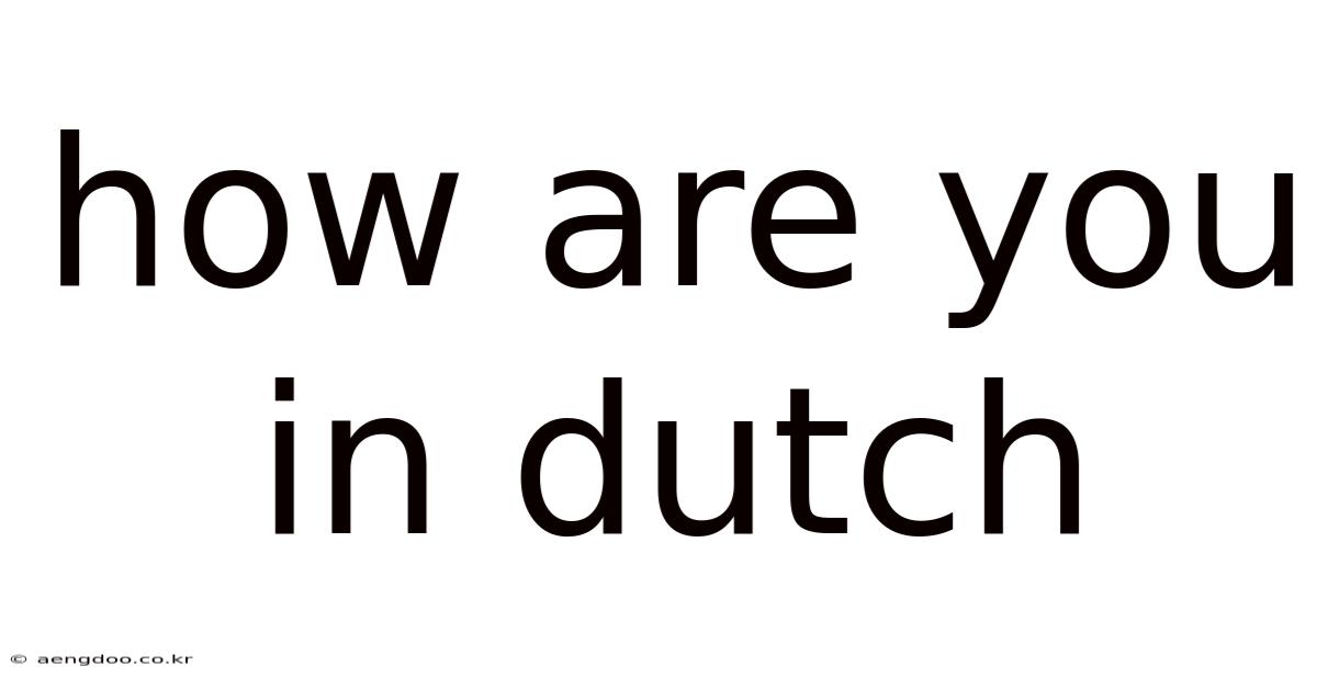 How Are You In Dutch