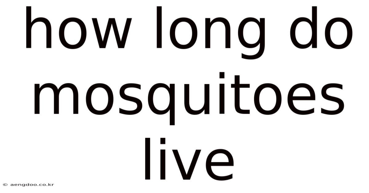 How Long Do Mosquitoes Live