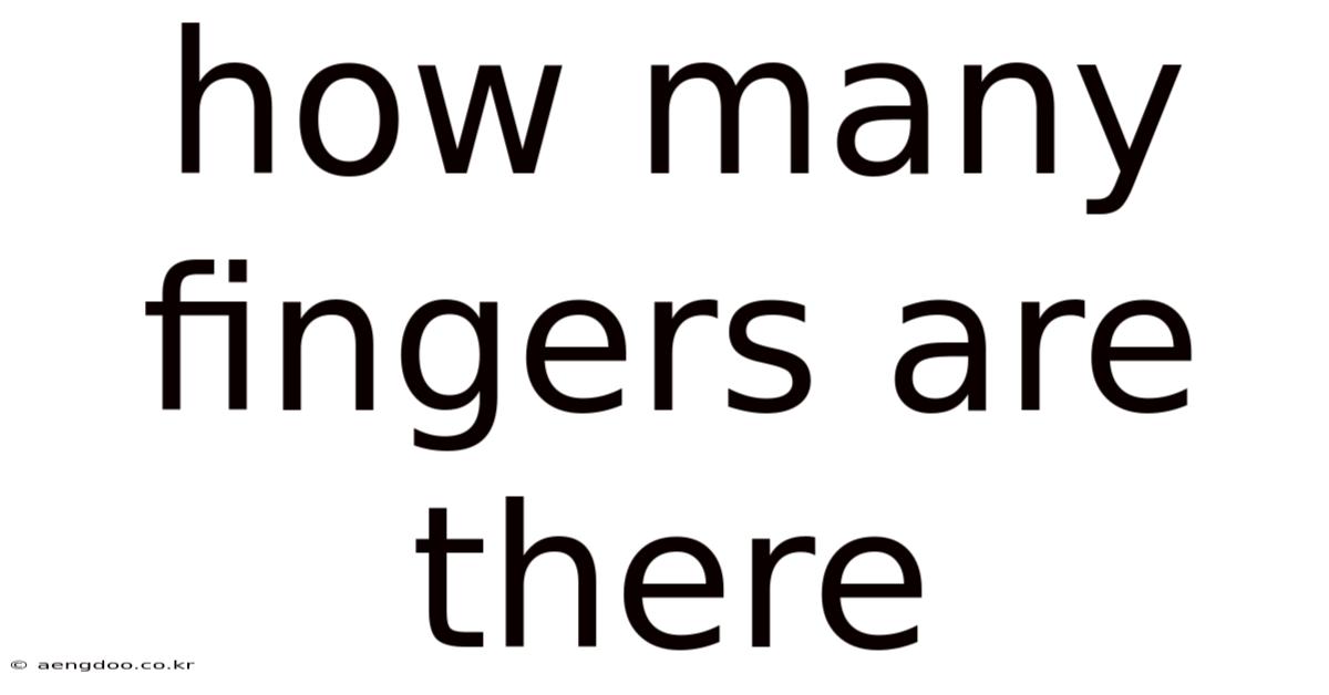How Many Fingers Are There