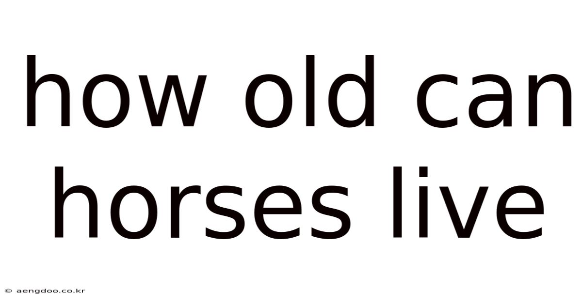 How Old Can Horses Live