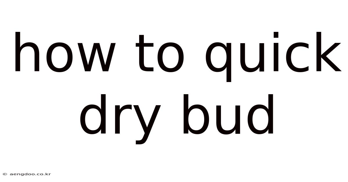 How To Quick Dry Bud