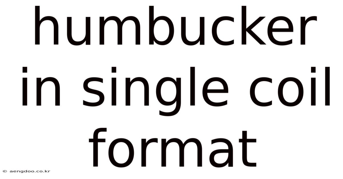 Humbucker In Single Coil Format