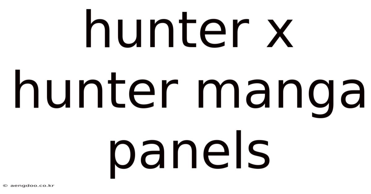Hunter X Hunter Manga Panels