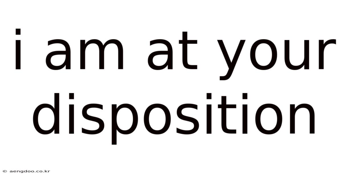 I Am At Your Disposition