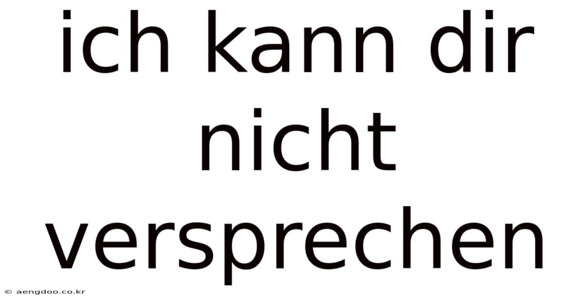 Ich Kann Dir Nicht Versprechen