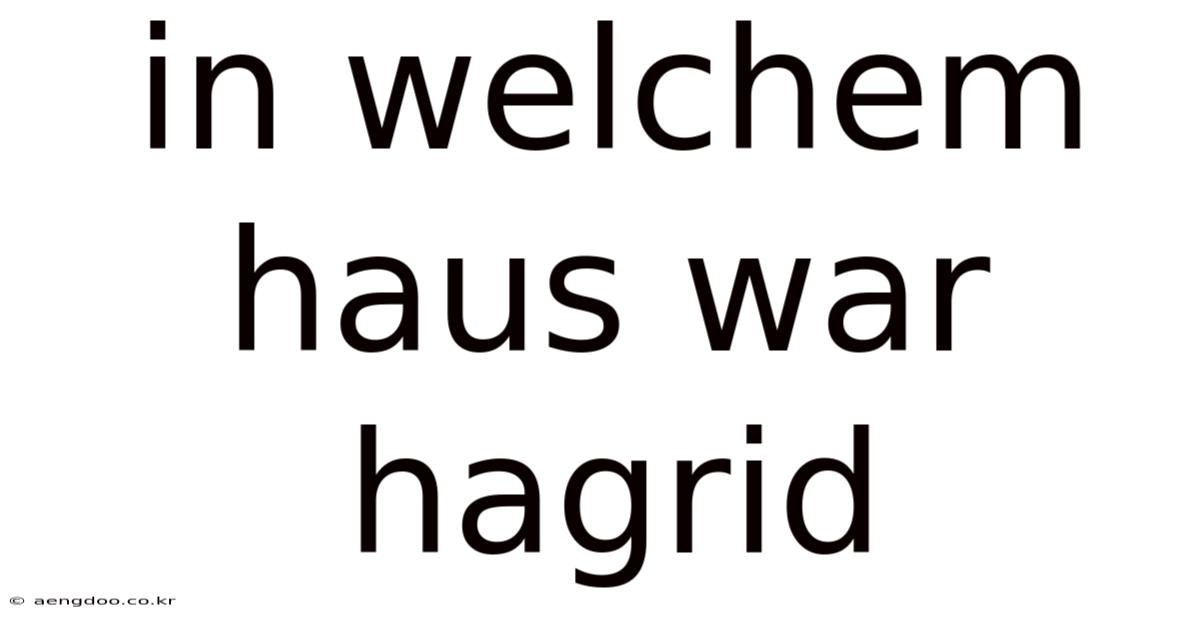 In Welchem Haus War Hagrid