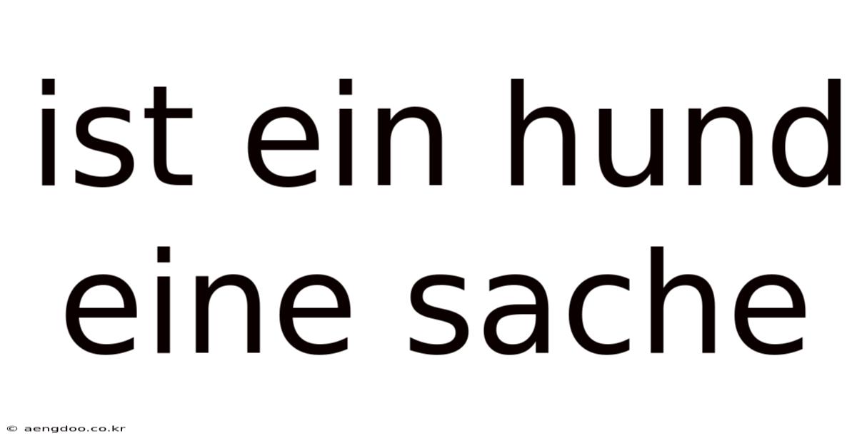 Ist Ein Hund Eine Sache