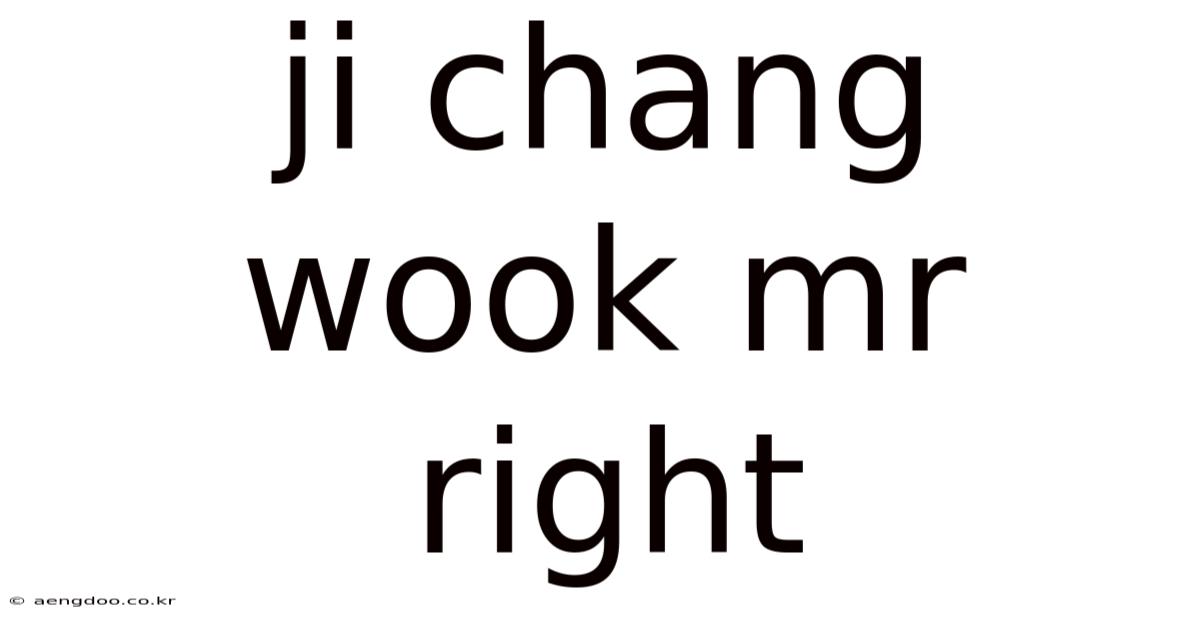 Ji Chang Wook Mr Right